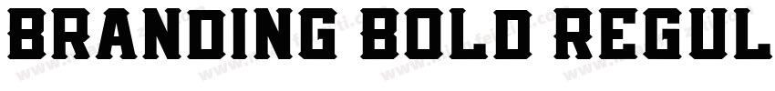 Branding Bold Regul字体转换